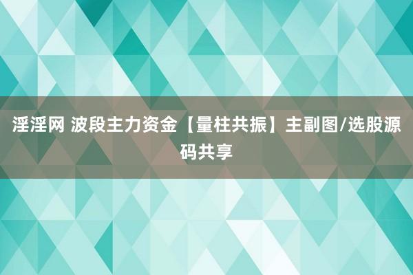 淫淫网 波段主力资金【量柱共振】主副图/选股源码共享