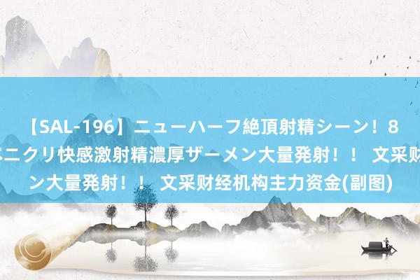 【SAL-196】ニューハーフ絶頂射精シーン！8時間 こだわりのデカペニクリ快感激射精濃厚ザーメン大量発射！！ 文采财经机构主力资金(副图)