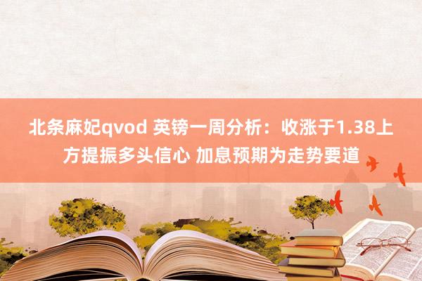 北条麻妃qvod 英镑一周分析：收涨于1.38上方提振多头信心 加息预期为走势要道