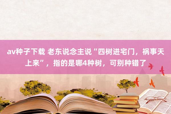 av种子下载 老东说念主说“四树进宅门，祸事天上来”，指的是哪4种树，可别种错了