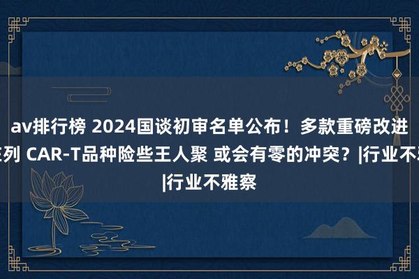 av排行榜 2024国谈初审名单公布！多款重磅改进药在列 CAR-T品种险些王人聚 或会有零的冲突？|行业不雅察