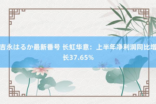 吉永はるか最新番号 长虹华意：上半年净利润同比增长37.65%