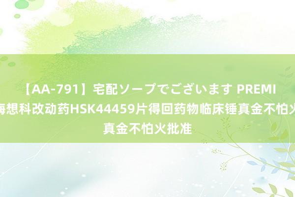 【AA-791】宅配ソープでございます PREMIUM 海想科改动药HSK44459片得回药物临床锤真金不怕火批准