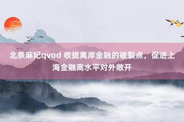 北条麻妃qvod 收拢离岸金融的破裂点，促进上海金融高水平对外敞开