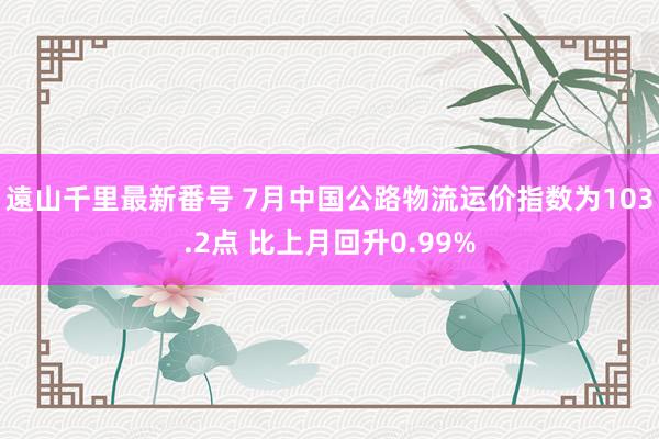 遠山千里最新番号 7月中国公路物流运价指数为103.2点 比上月回升0.99%