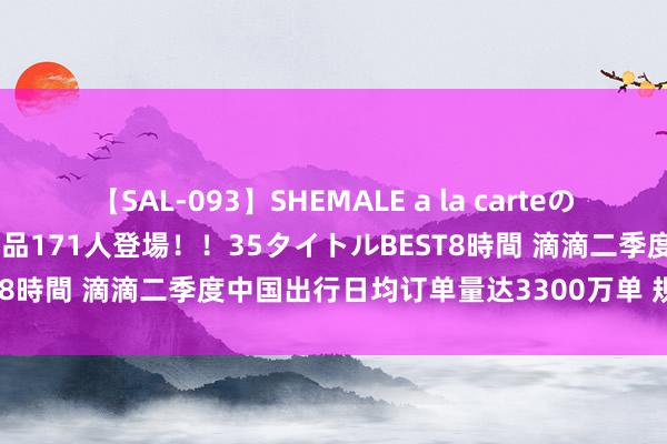 【SAL-093】SHEMALE a la carteの歴史 2008～2011 国内作品171人登場！！35タイトルBEST8時間 滴滴二季度中国出行日均订单量达3300万单 规模执续增长