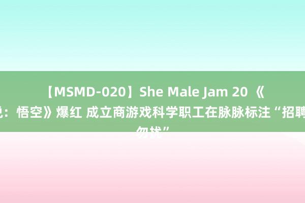 【MSMD-020】She Male Jam 20 《黑传说：悟空》爆红 成立商游戏科学职工在脉脉标注“招聘勿扰”