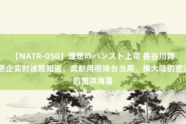 【NATR-050】理想のパンスト上司 長谷川舞 好意思企实时迷路知返，武断用根除台当局，换大陆的宽洪海量