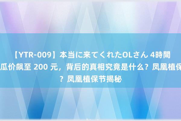 【YTR-009】本当に来てくれたOLさん 4時間 韩国西瓜价飙至 200 元，背后的真相究竟是什么？凤凰植保节揭秘