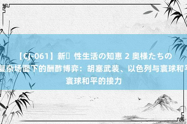 【CJ-061】新・性生活の知恵 2 奥様たちの性体験 复杂场面下的酬酢博弈：胡塞武装、以色列与寰球和平的接力