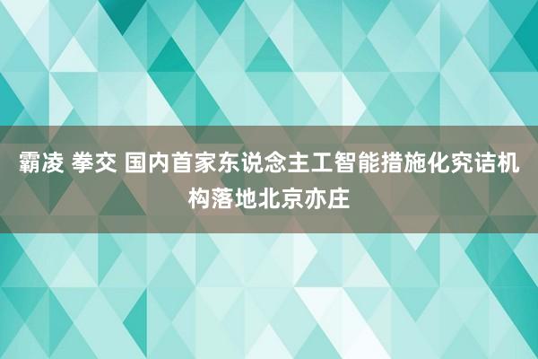 霸凌 拳交 国内首家东说念主工智能措施化究诘机构落地北京亦庄