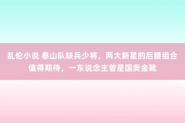 乱伦小说 泰山队缺兵少将，两大新星的后腰组合值得期待，一东说念主曾是国奥金靴