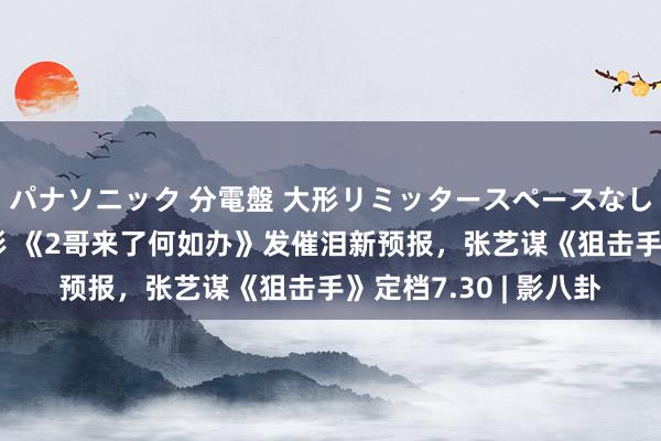 パナソニック 分電盤 大形リミッタースペースなし 露出・半埋込両用形 《2哥来了何如办》发催泪新预报，张艺谋《狙击手》定档7.30 | 影八卦