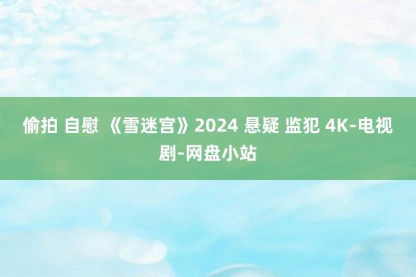 偷拍 自慰 《雪迷宫》2024 悬疑 监犯 4K-电视剧-网盘小站