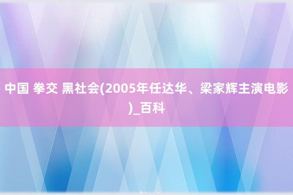 中国 拳交 黑社会(2005年任达华、梁家辉主演电影)_百科