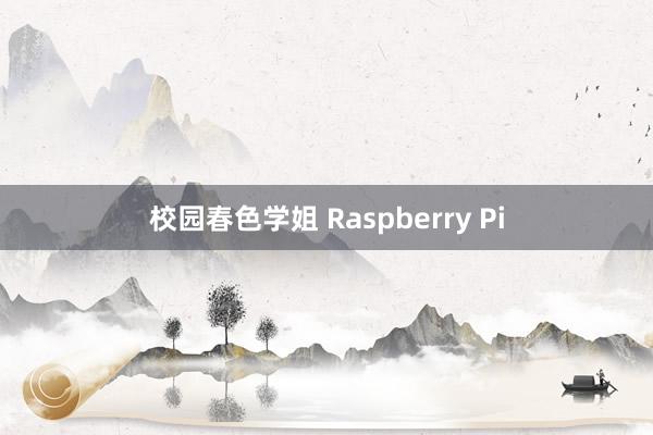 校园春色学姐 Raspberry Pi